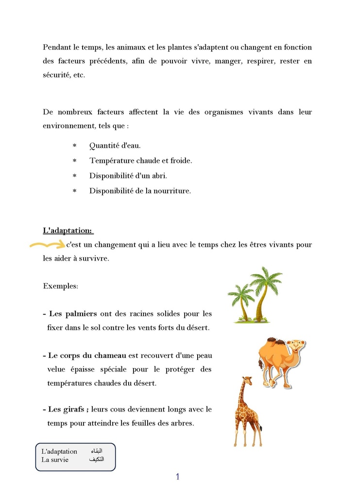 Savoir Plus - Science - 4e - 1s.