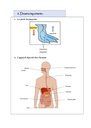 Savoir Plus - Science - 4e - 1s.